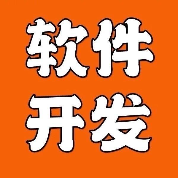 软件开发二开