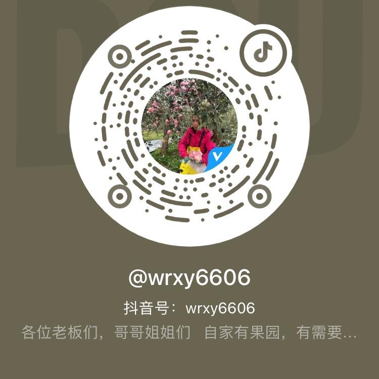 wrxy6606