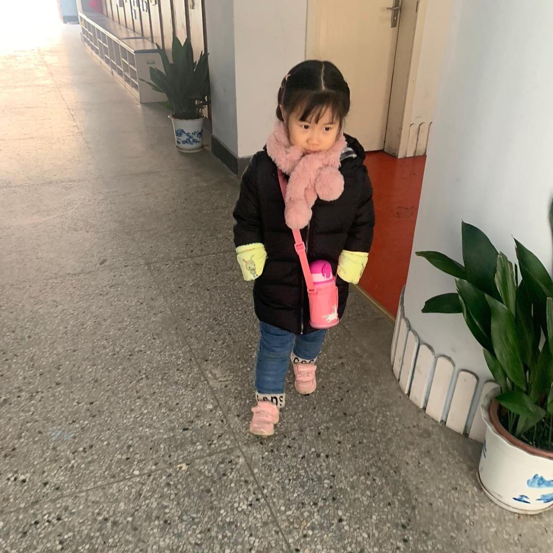 呆呆