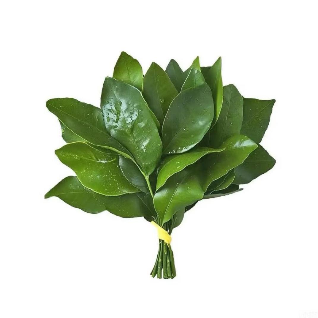 花开富贵好运来🍀