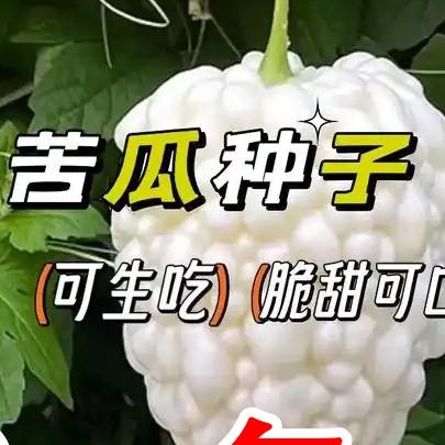 耄耋耄耋1