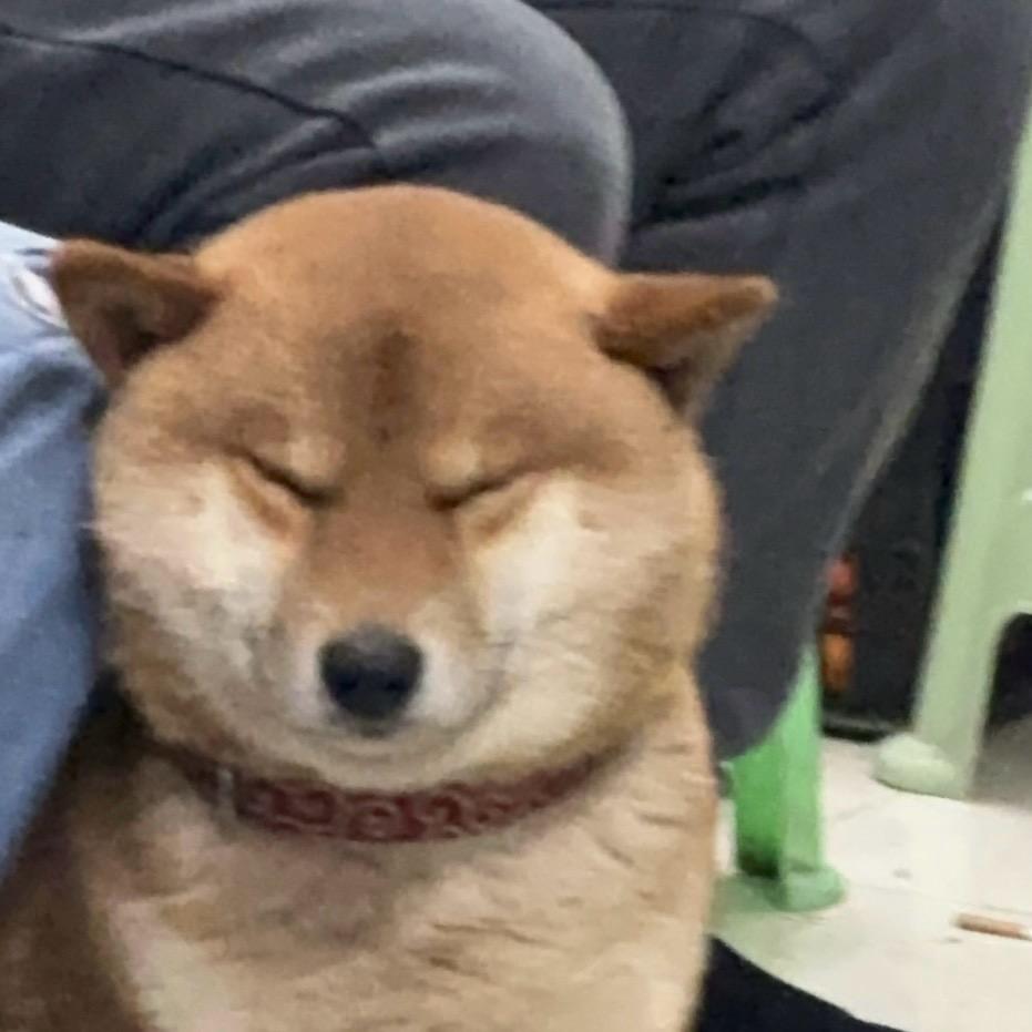 嗯哼