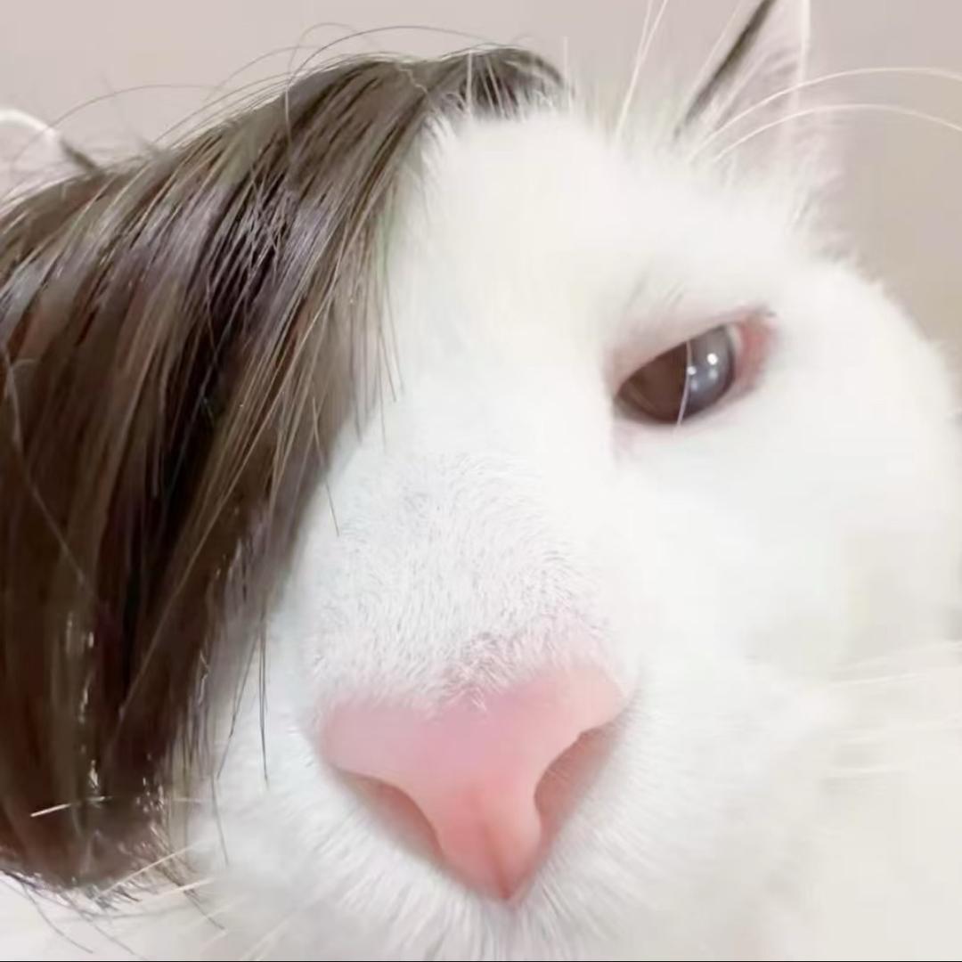 碳水小狗ᐝ
