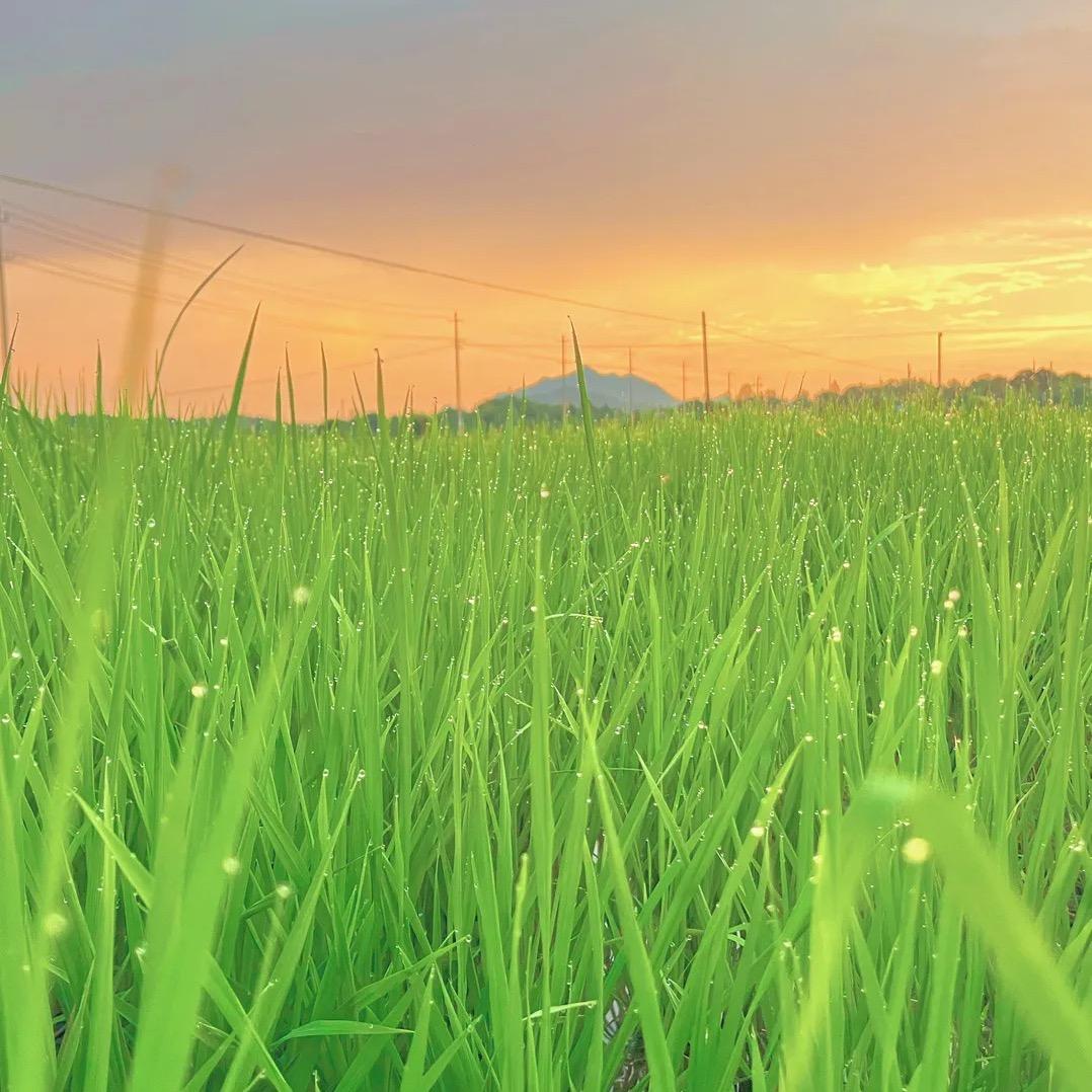 ❤️🍏🍎🍐-航1