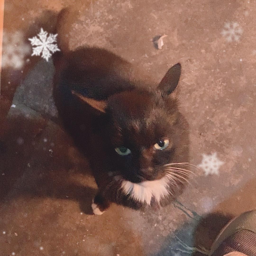 🍎📱Id 😇周转