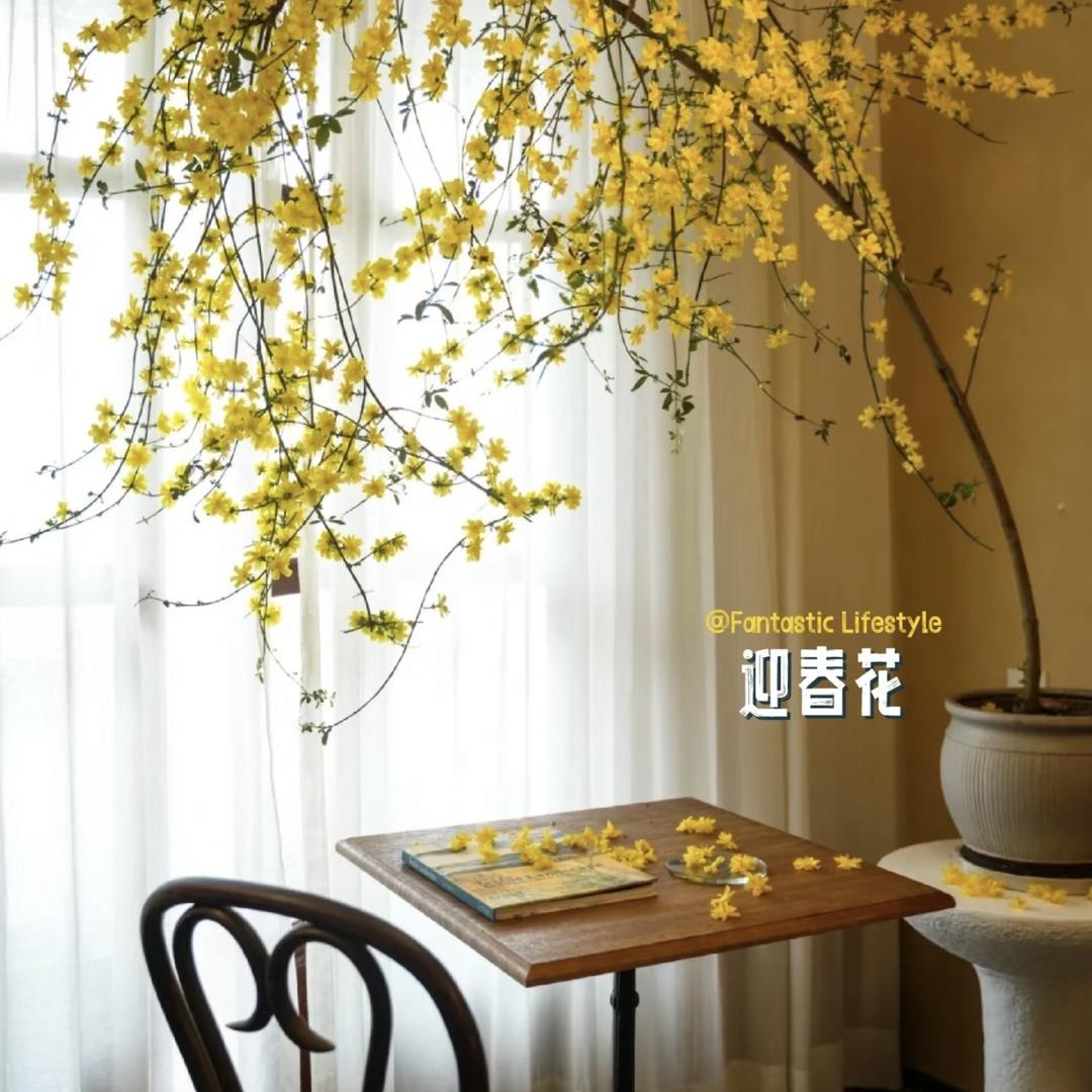 小杨姐基地