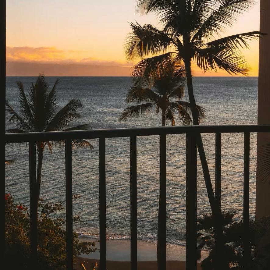 bolabala(金光华广场店)十多个发多少直播号