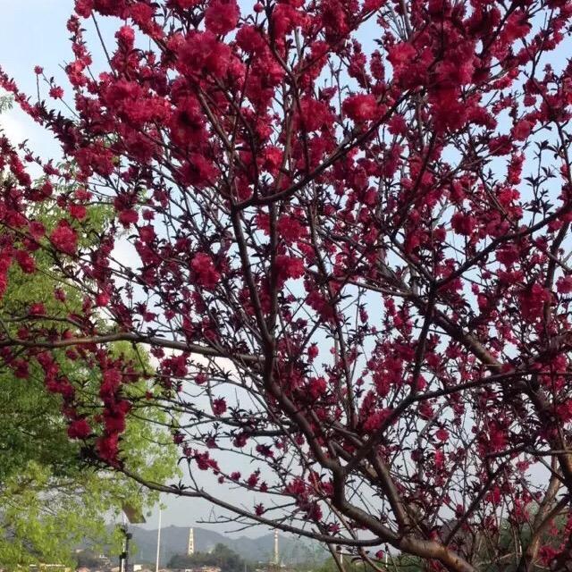 ღ᭄深᭨᭰爱ᬨᬁ不᭨᭰腻᭨᭰