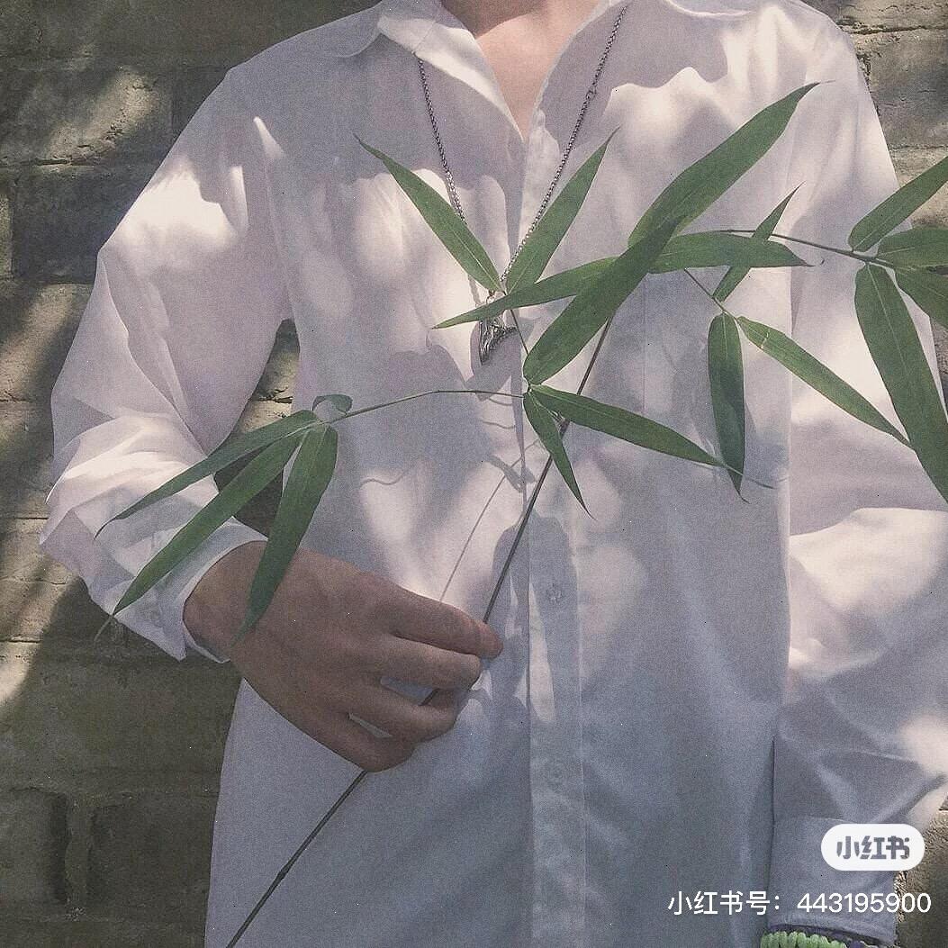 海棠花开