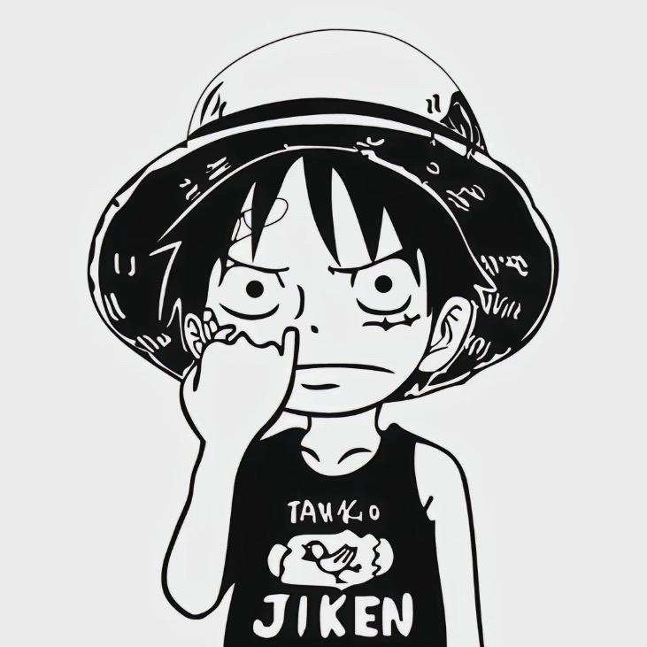 海贼王-小飞