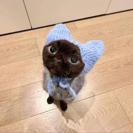 Znoo •́.•̀ •͈˽•͈