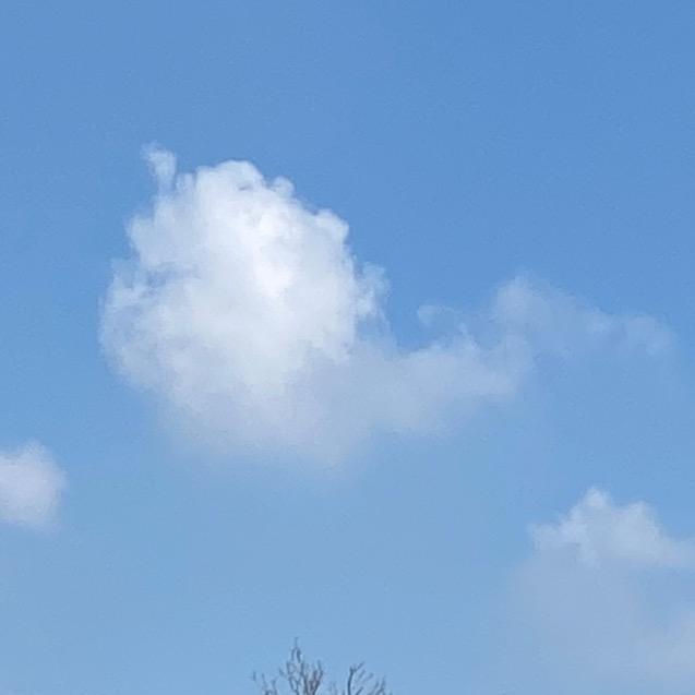 承爺