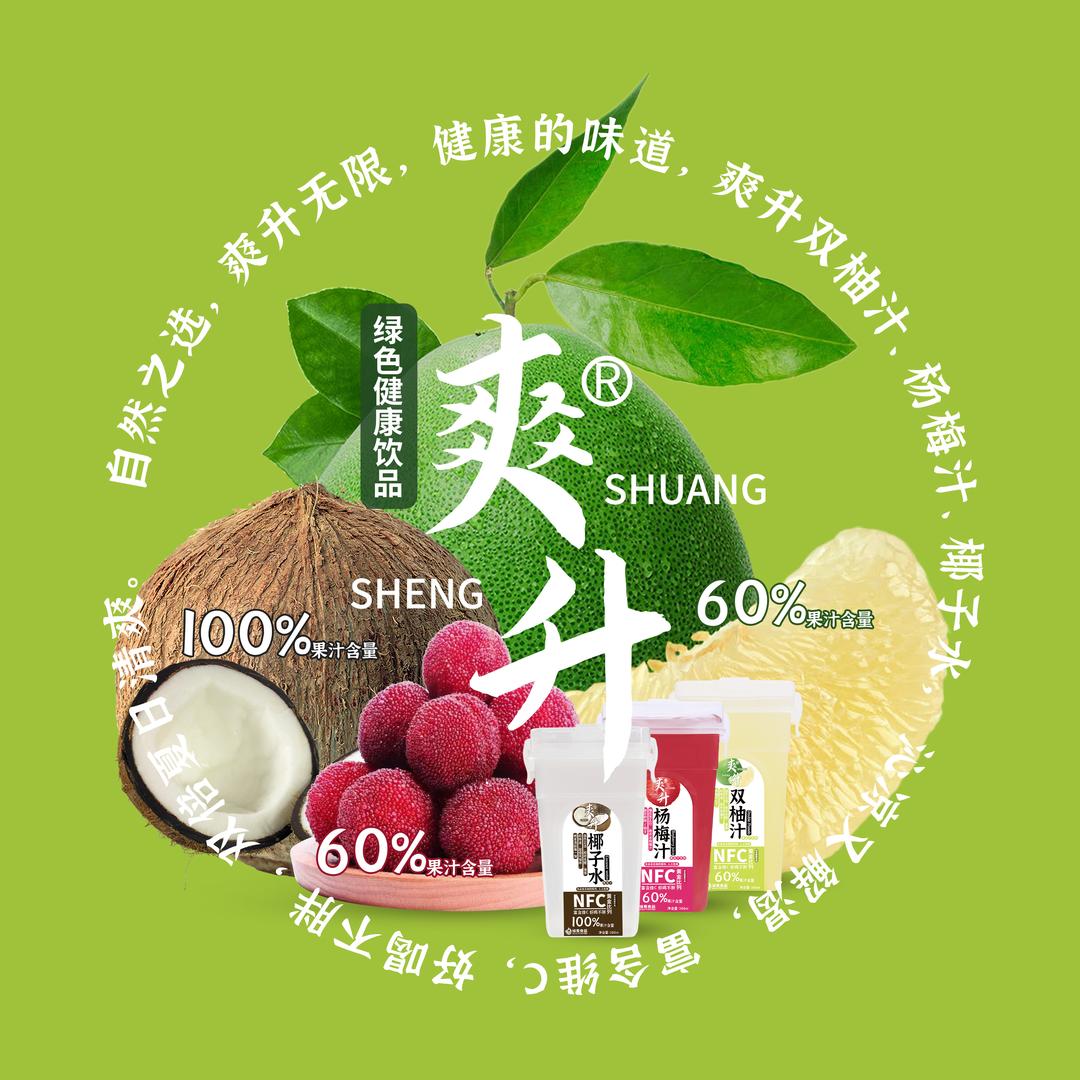 爽升NFC冰杨梅汁厂家～面向全国招商