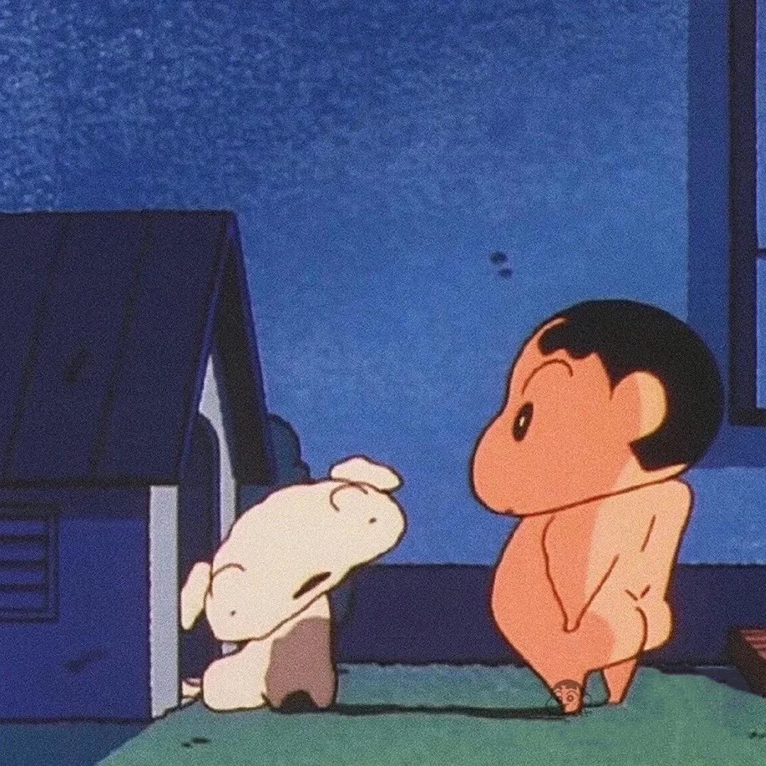 🐣小胖丁喵🐥