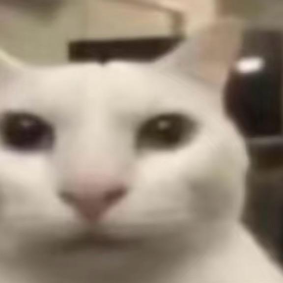 神奇美味芋头Taro