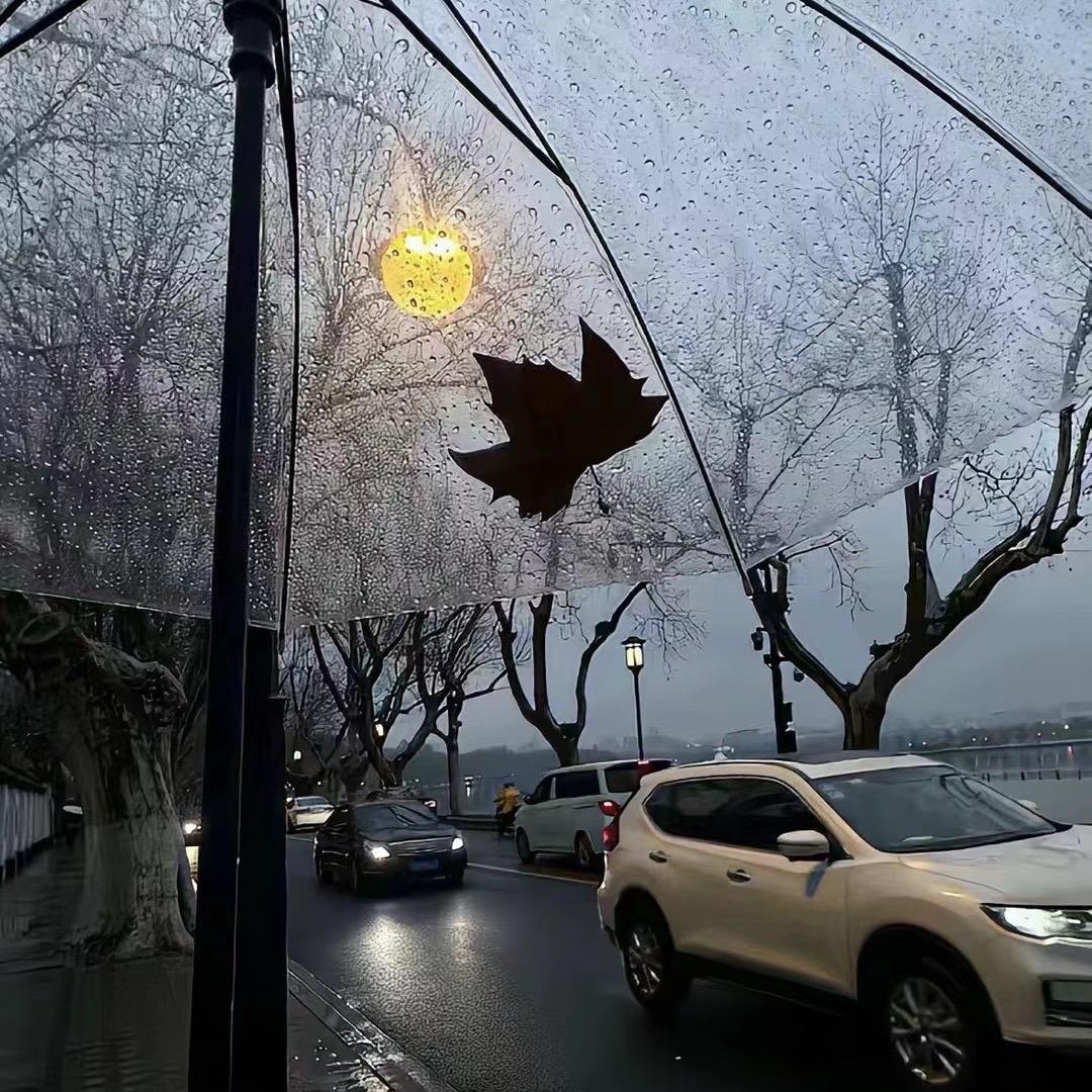 赵高高💐