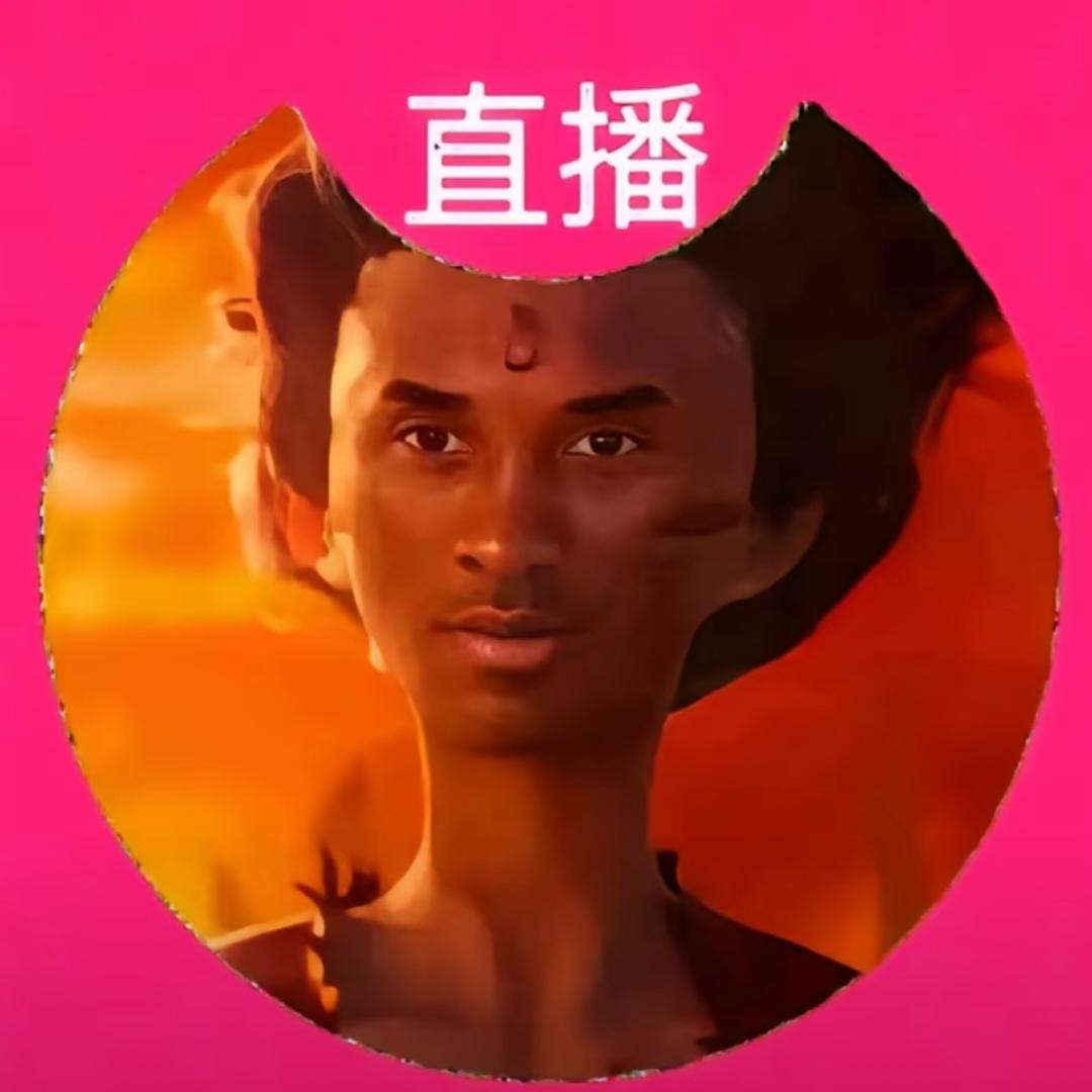 宅猫