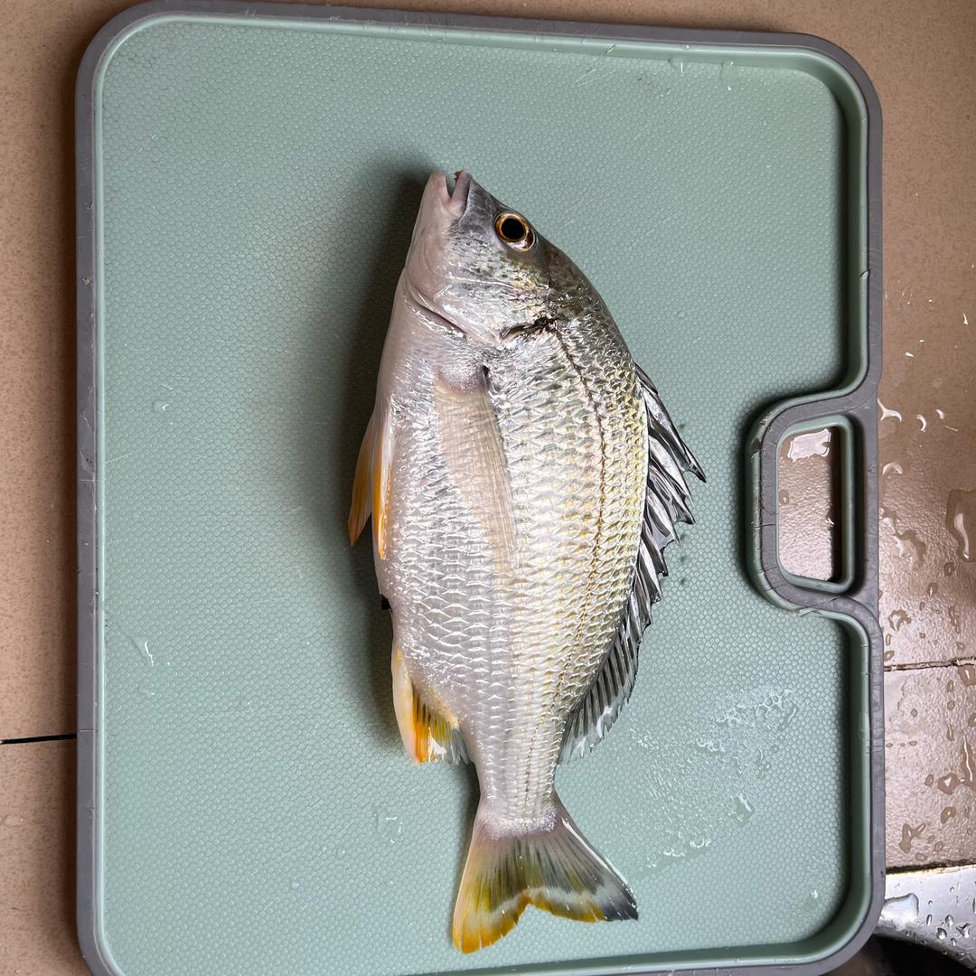 托马斯回旋踢你