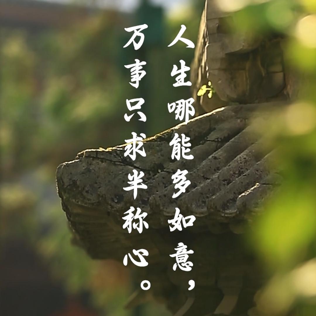 雾里拾光