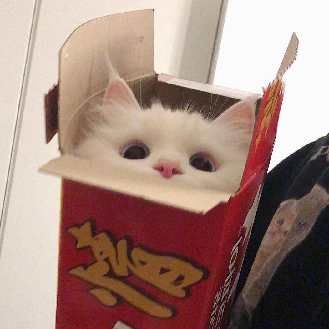 菓菓