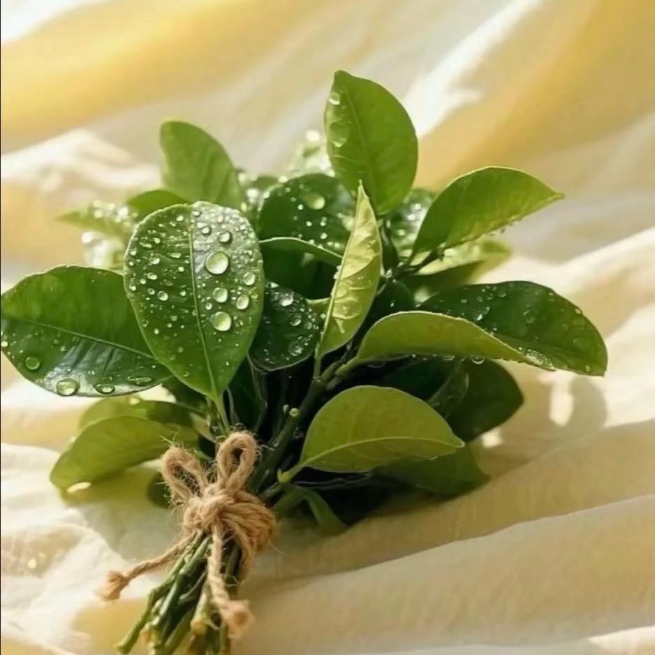 是小紗紗___Sarah🔆