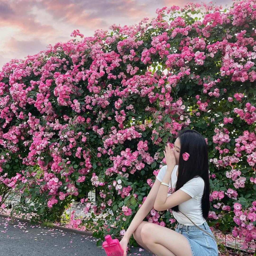 Susen花园