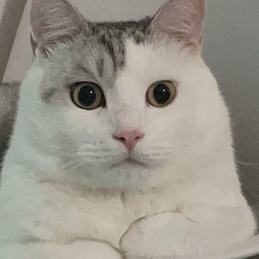 小羽筝
