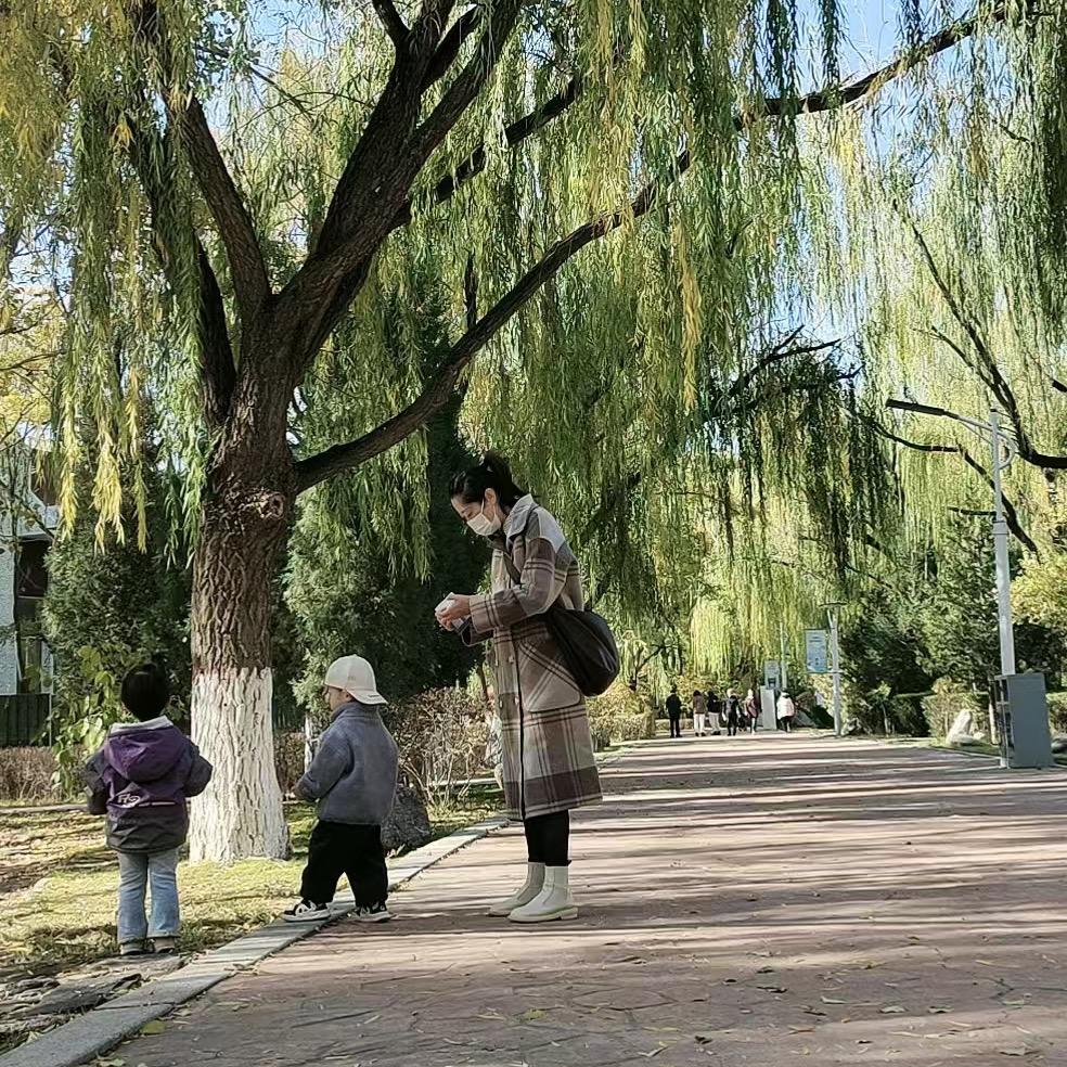 酸奶