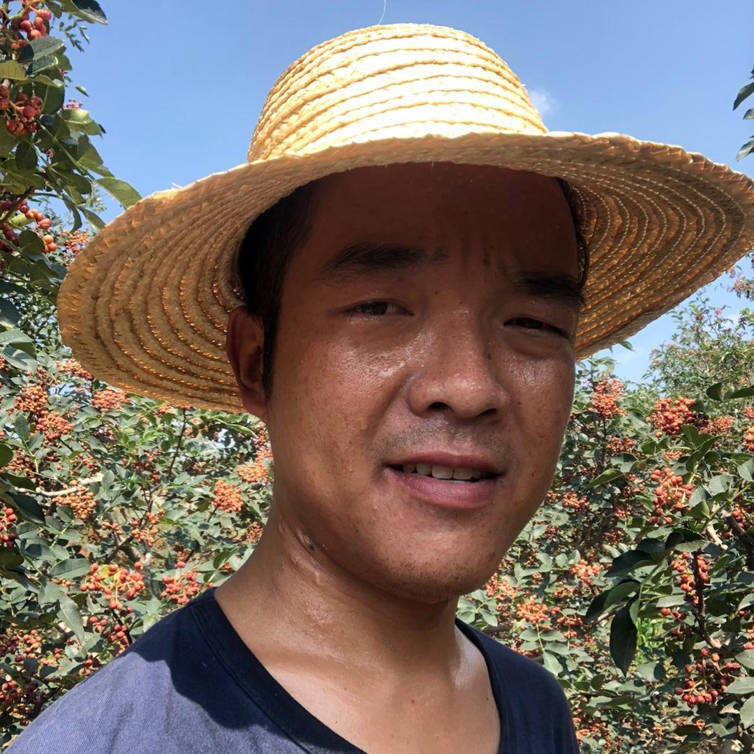 富平陈卫明农产品店