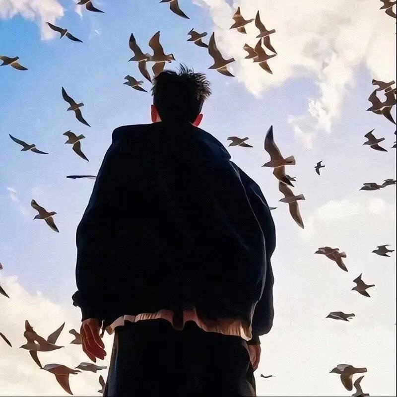 AAA专业批发拖拉机老吕