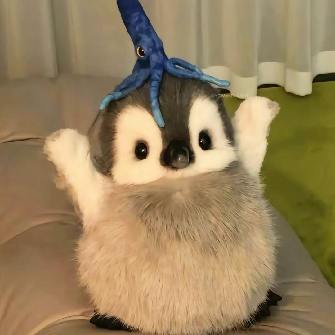清澈的高中生、