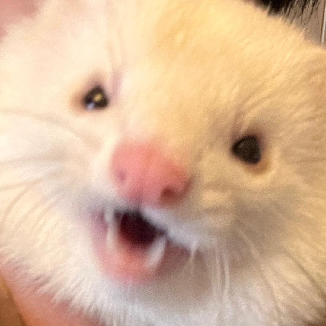 卷卷卷卷大王