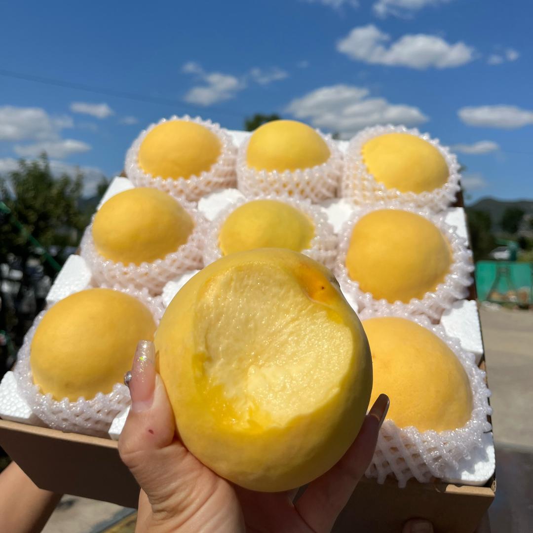 沂蒙山桃小妹