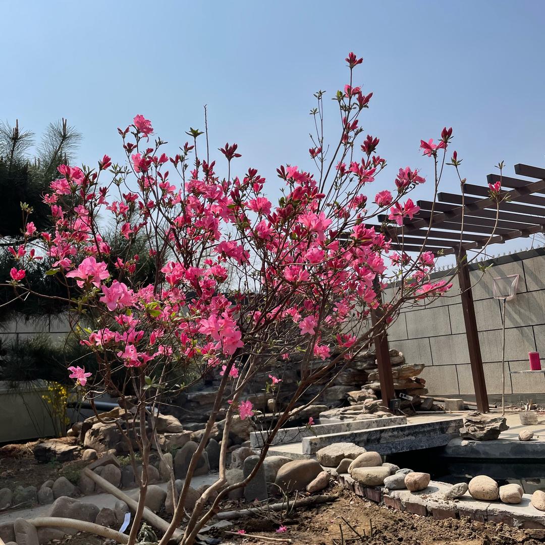 宏信科技桥架厂