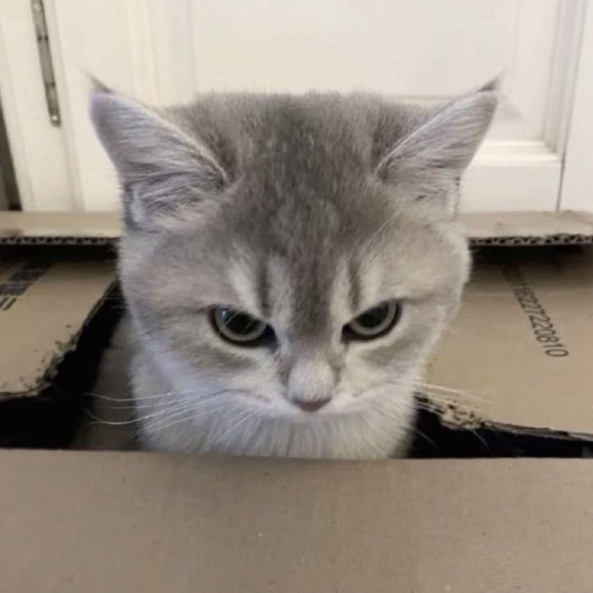 麻烦你管好你自己