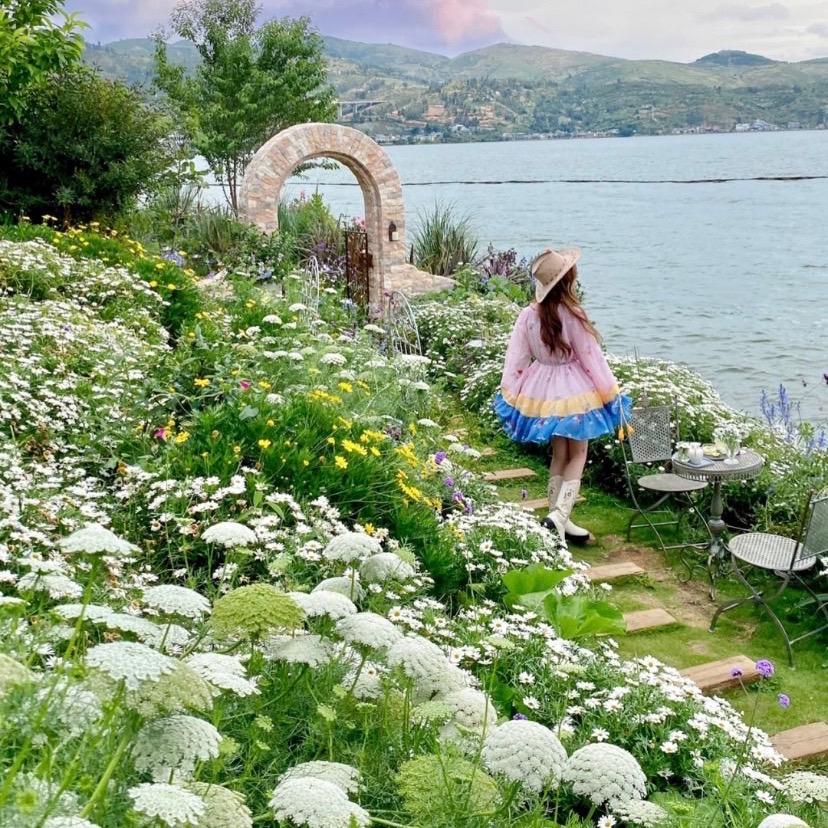 云南零八七邀花卉小店0871聊盆栽