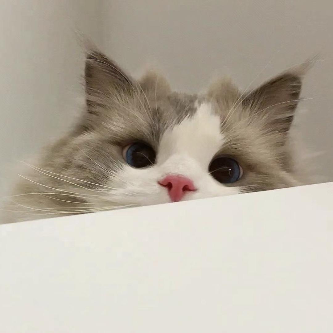 周周_
