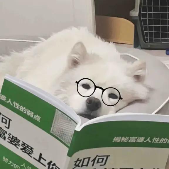 丸土水