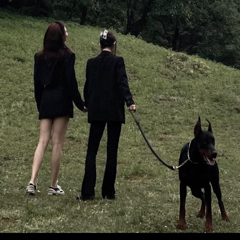 贰玖喜欢吃香菜