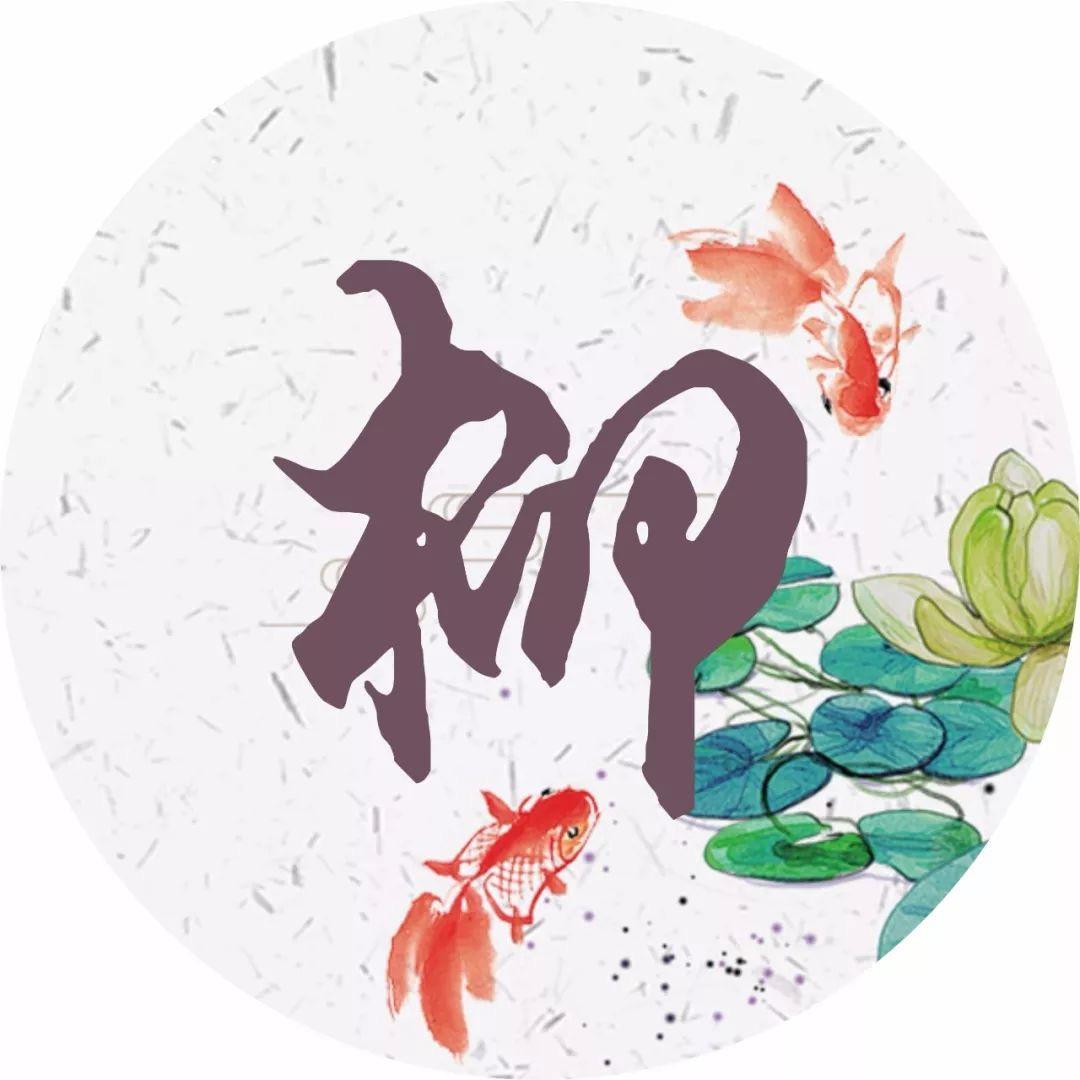 小浣熊