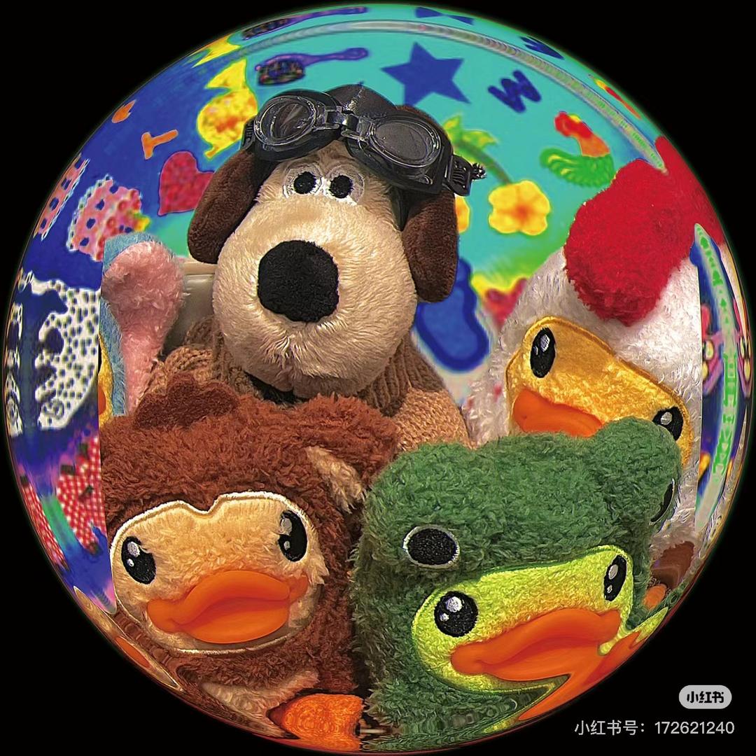 小田韩娱小卡（接寄拍）