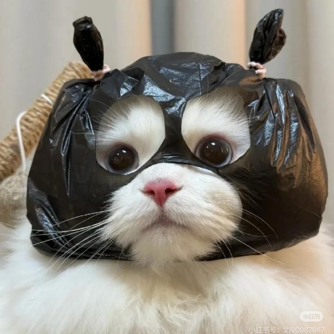 梦儿