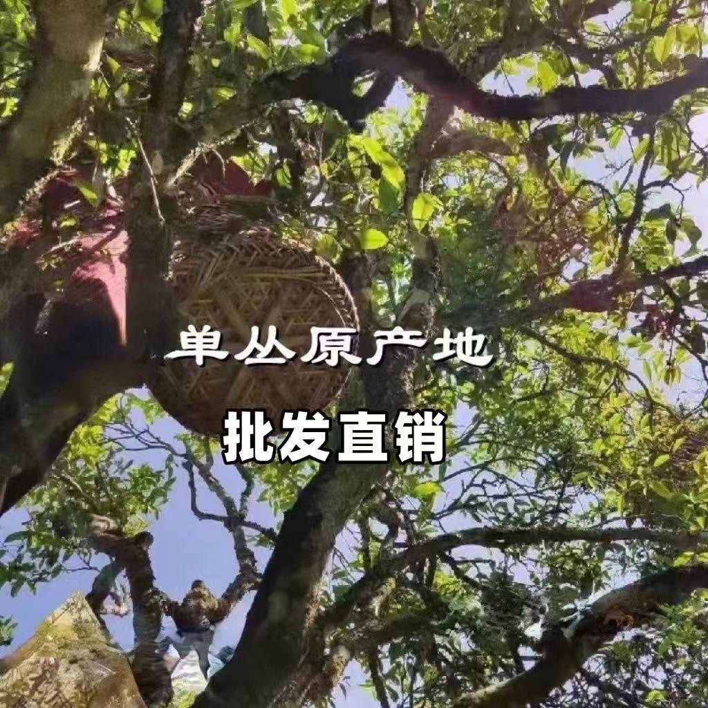 元枞壹味～瑛姐单丛茶源头产地直销