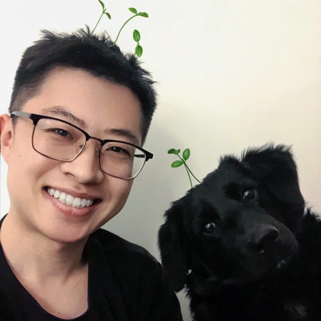 唐炒栗子（首播  22:17开播）