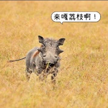 小辉@