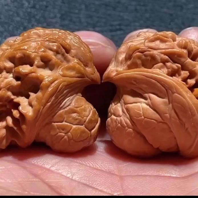 玉玺核缘工艺品