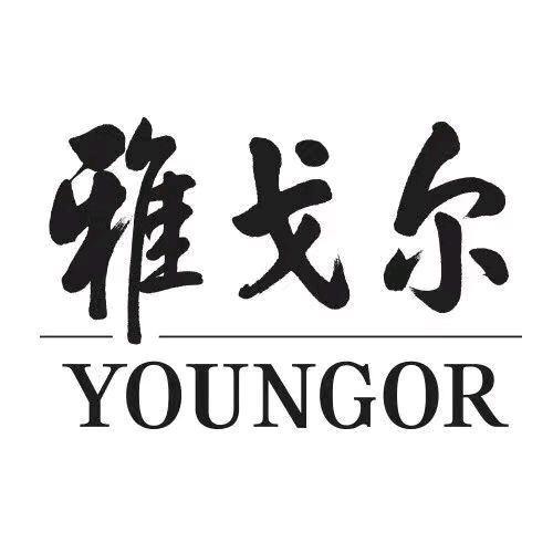 雅戈尔Youngor旗舰店