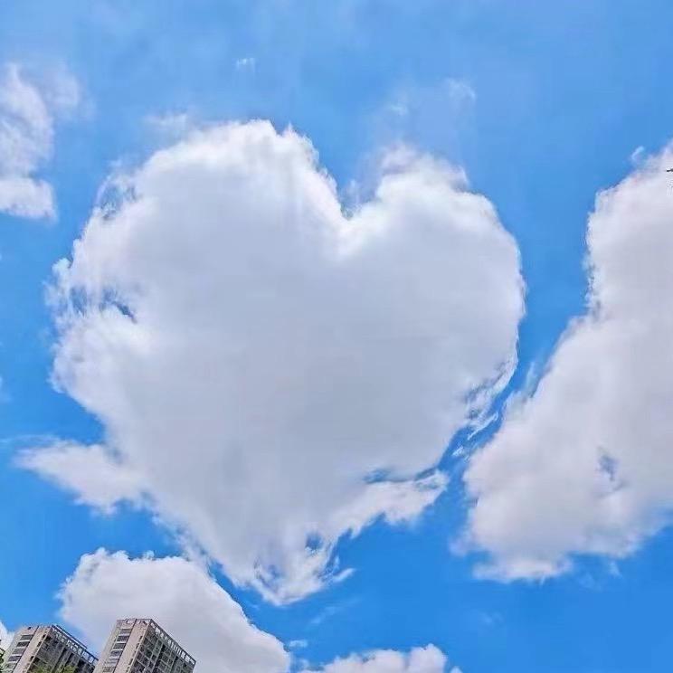 鲨鱼吃辣椒🌶️