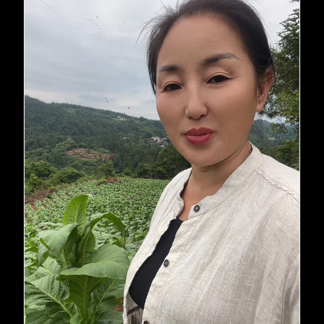 二姐的乡村时光