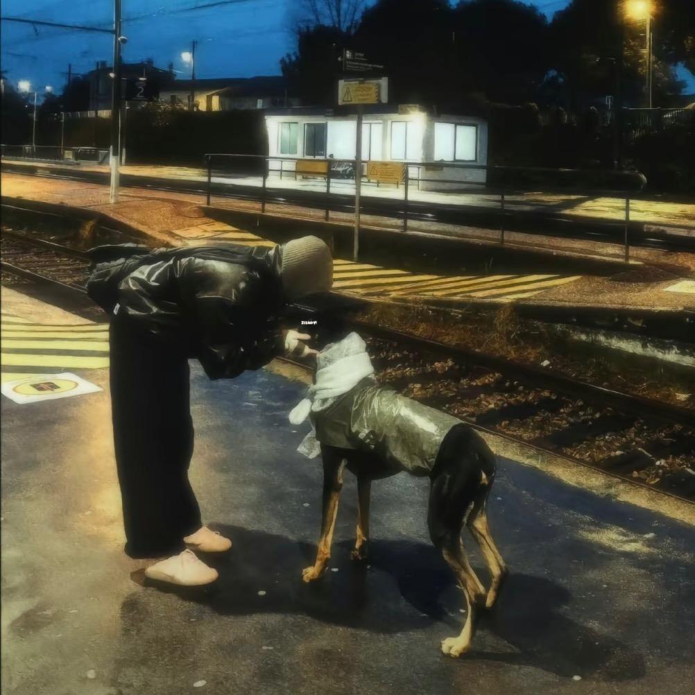 洪湖de大虾